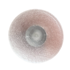 image 259
